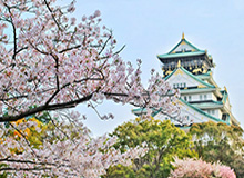MK体育登录入口-【热身赛】艾克森传射6人进球 国足6比1阿联酋球队
